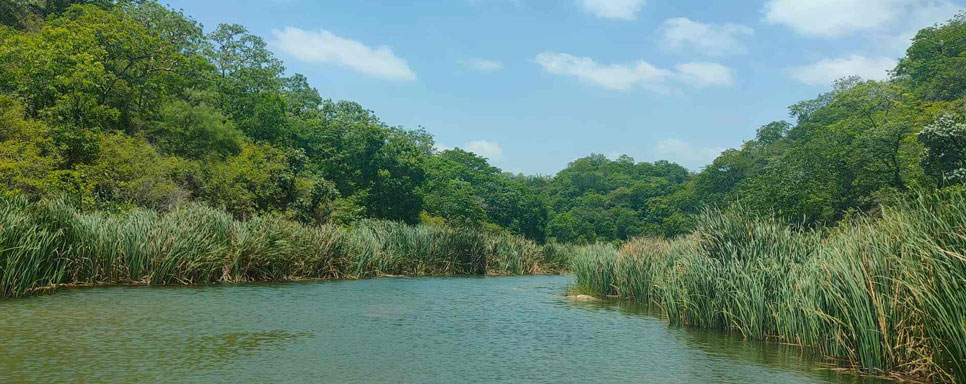 banas river tour