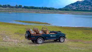 sanjay dubri and bandhavgarh tour